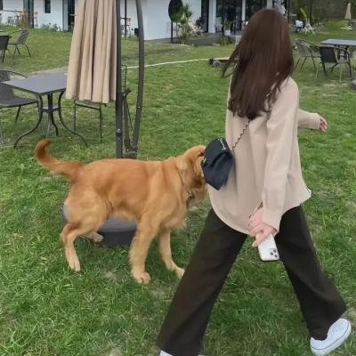 间谍亚契第十季